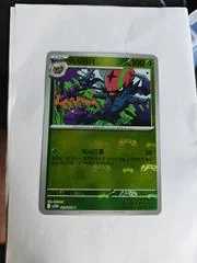 Accelgor card image
