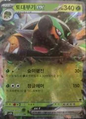 Torterra ex card image
