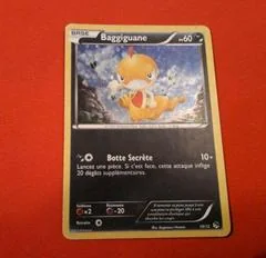 Scraggy card image
