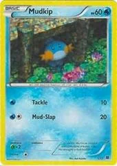 Mudkip card image