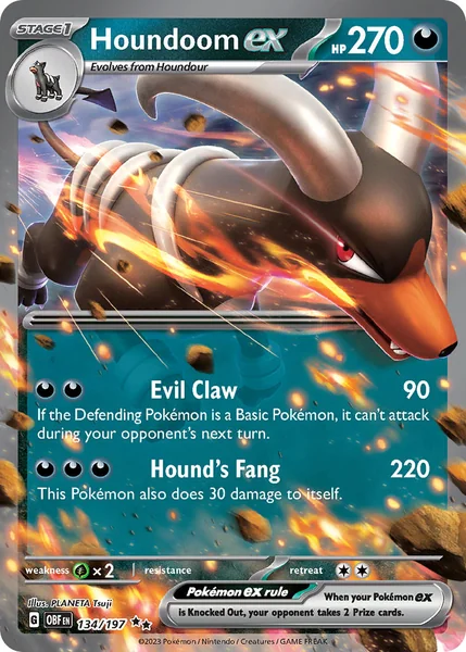 Houndoom ex card image