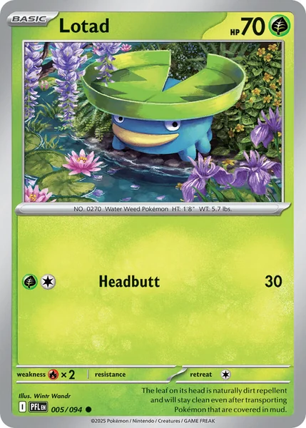 Lotad card image
