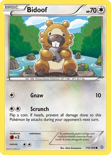 Bidoof card image