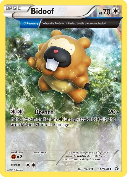 Bidoof card image