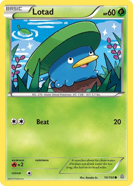 Lotad card image