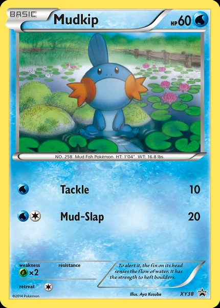Mudkip card image