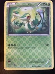 ___'s Snivy card image