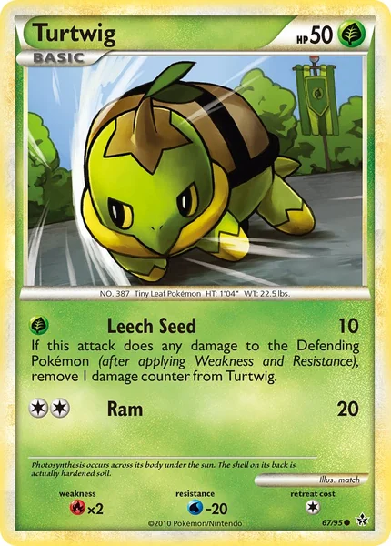 Turtwig card image