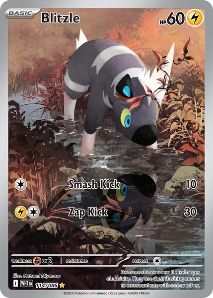 Blitzle card image