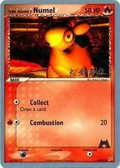 Team Magma's Numel card image