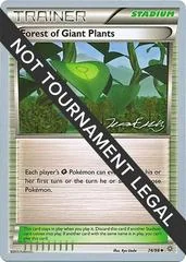 Forest Of Giant Plants card image